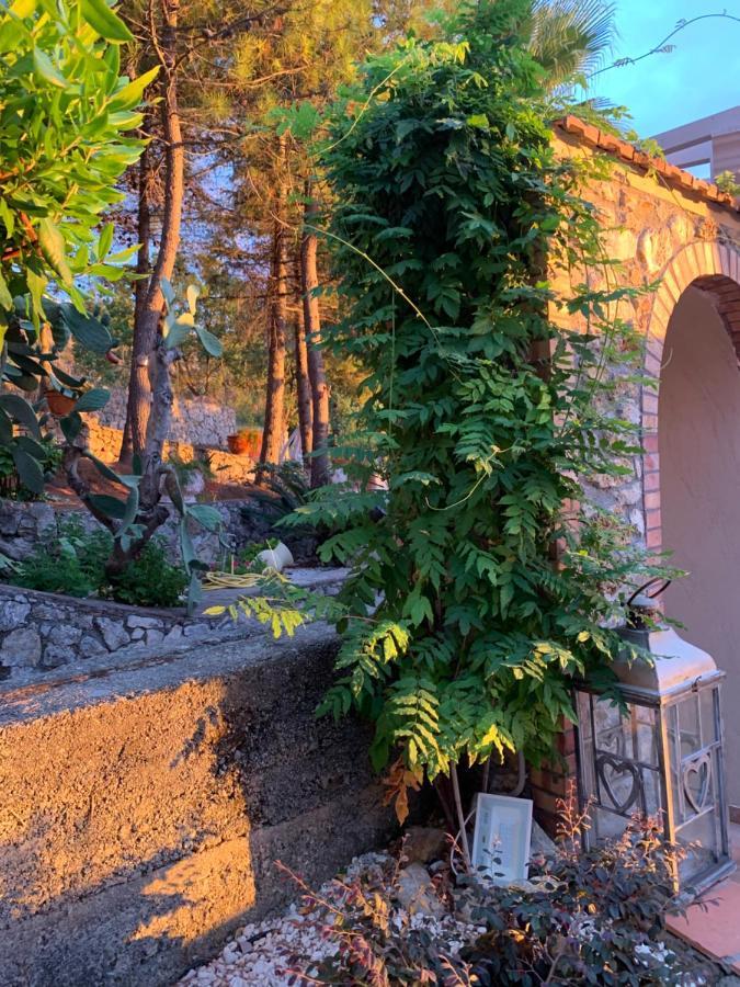 Mamma Rita Bed & Breakfast Tortora